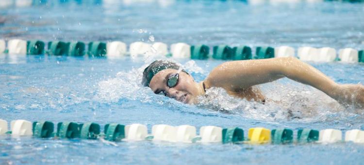 Swimming and Diving to Host Canisius Tuesday