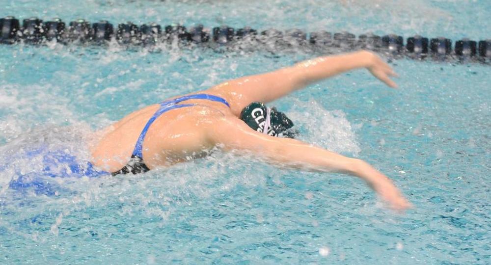 Swimming and Diving Finishes Zippy Invite