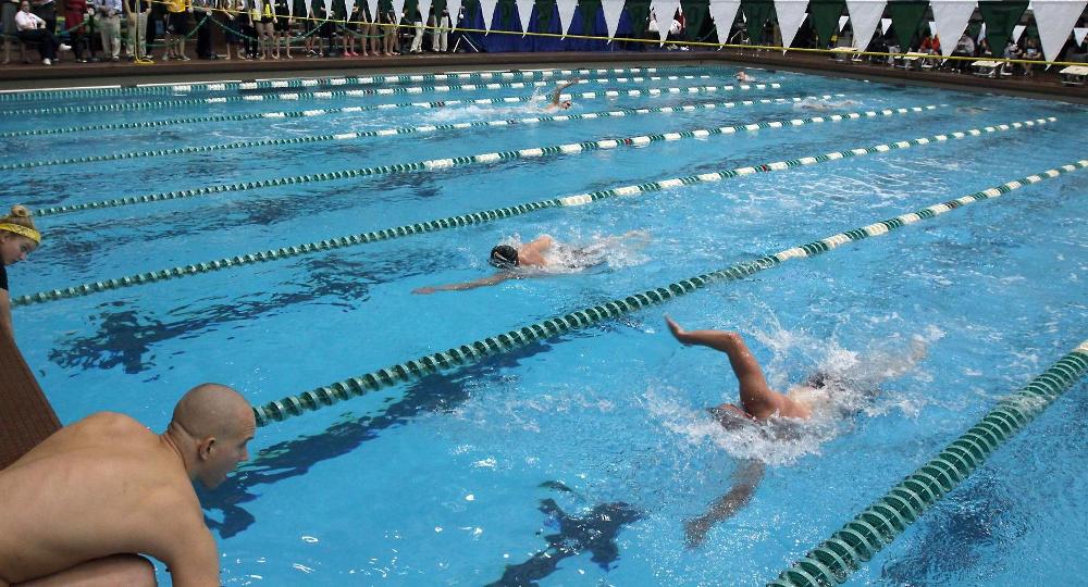 Viking Swimming & Diving Adds Four For 2016-17 Season