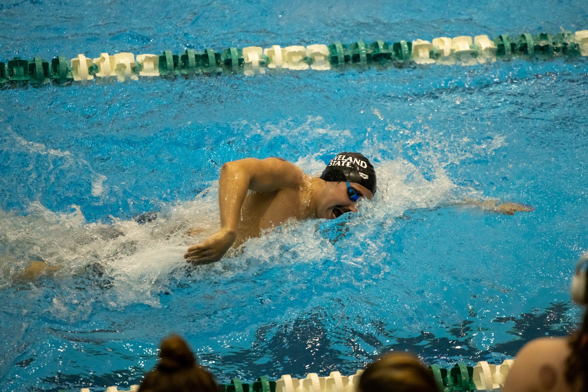 Cleveland State Men's Swimming & Diving First After Day One of Magnus Cup