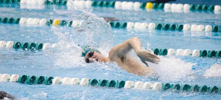 Men's Swimming and Diving Defeat Canisius, 126-117