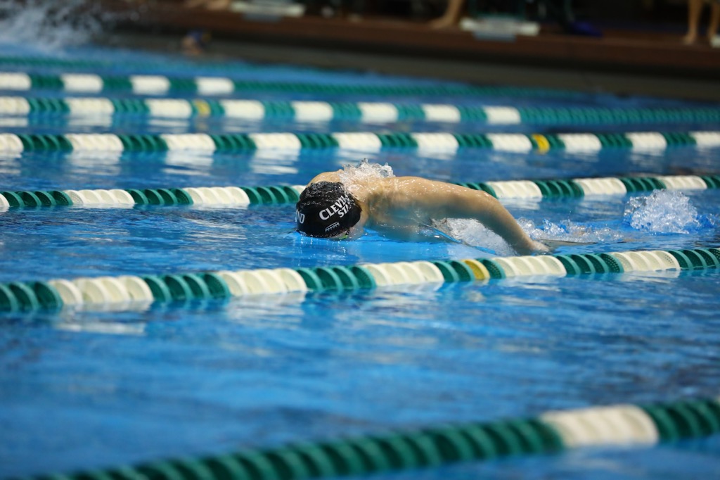 Cleveland State Men's Swimming & Diving Splits Road Dual, Wolf Secures NCAA Zone Cut