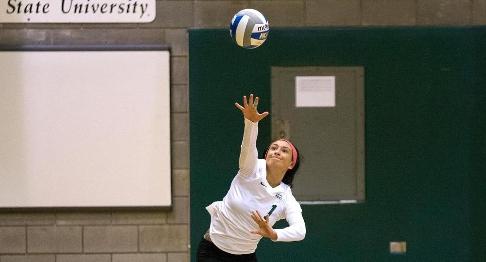 Volleyball Set For Panther Challenge To Close Out Non-League Play