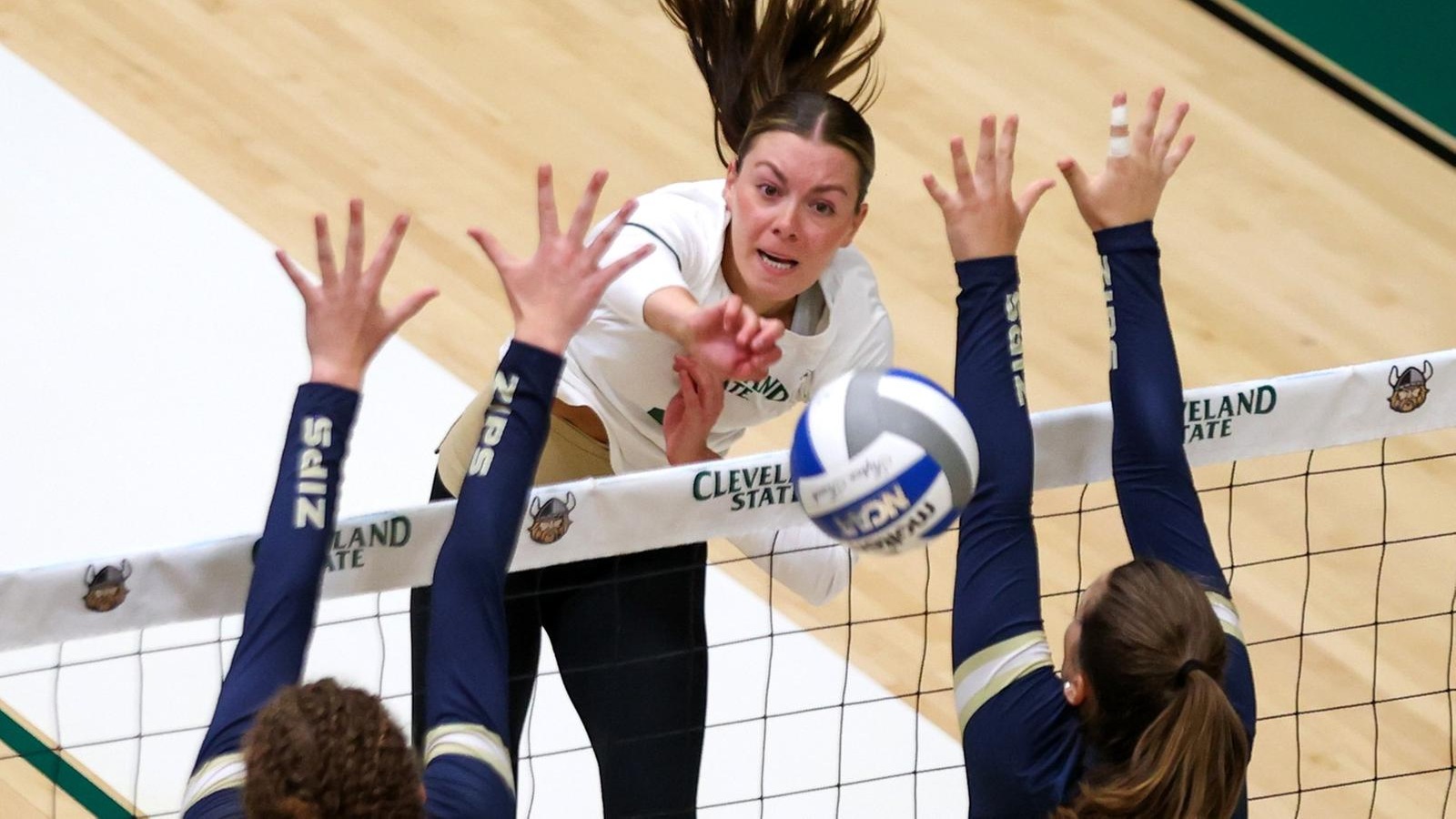 Cleveland State Volleyball Falls To RMU
