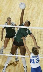 Volleyball Hosts Robert Morris; Hits Road For League Tests