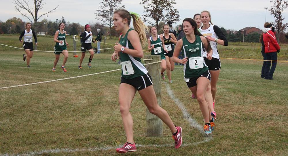 Cross Country Set For NCAA Great Lakes Regional