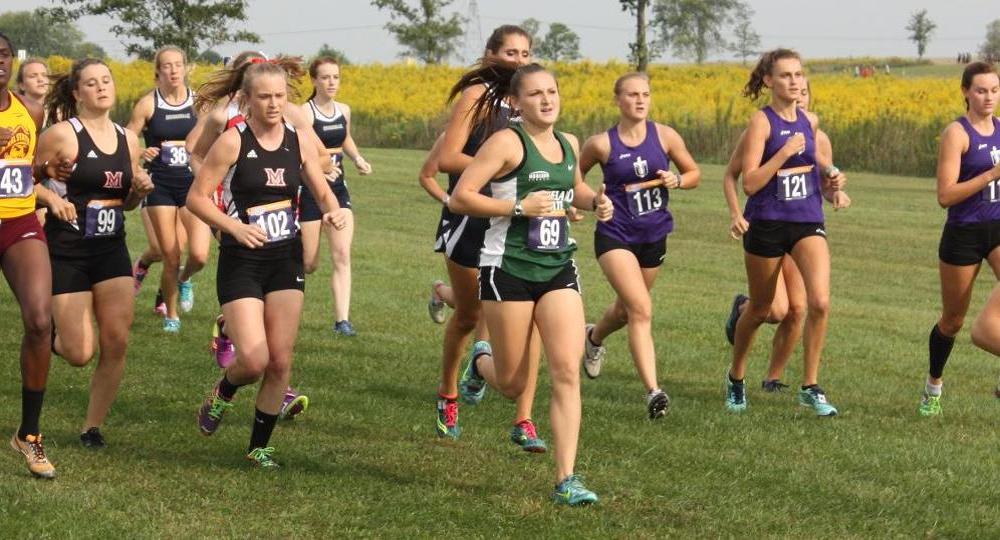 Cross Country Has Strong Showing At All-Ohio Championship