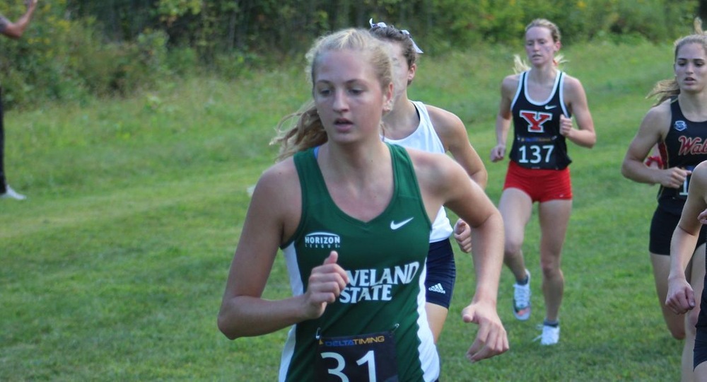 Cross Country Competes At All-Ohio Championship