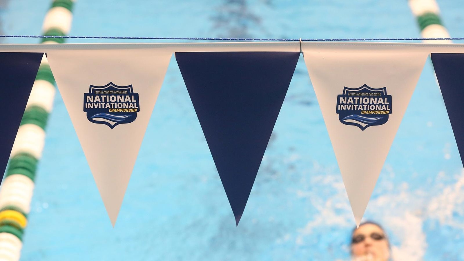 Cleveland State Continues Postseason with NIC, Zones Diving