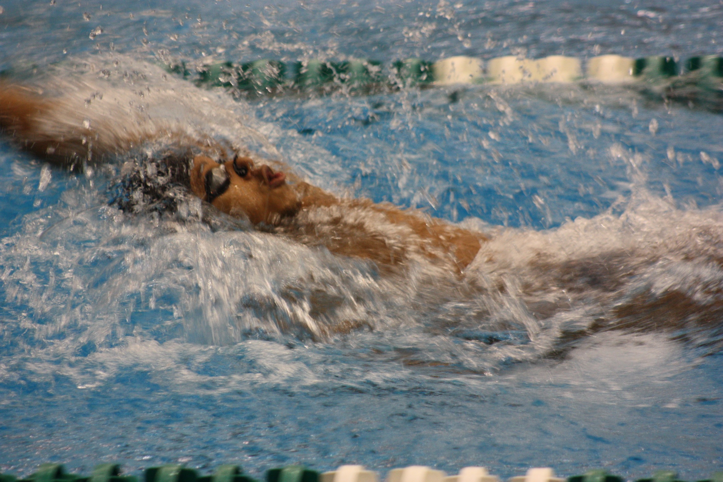 Cleveland State Men's Swimming & Diving Defeats Youngstown State in Home Opener