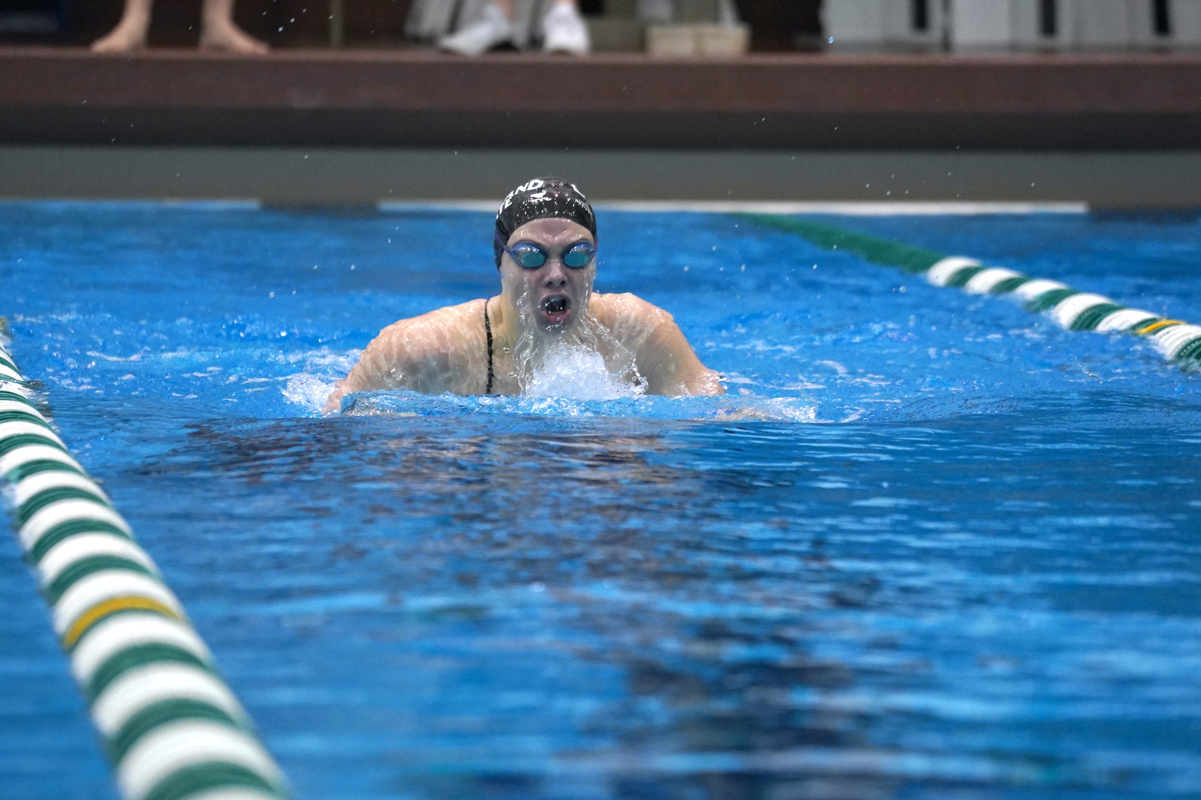 Women's Swimming & Diving Competed in Final Dual Before Horizon League Championships