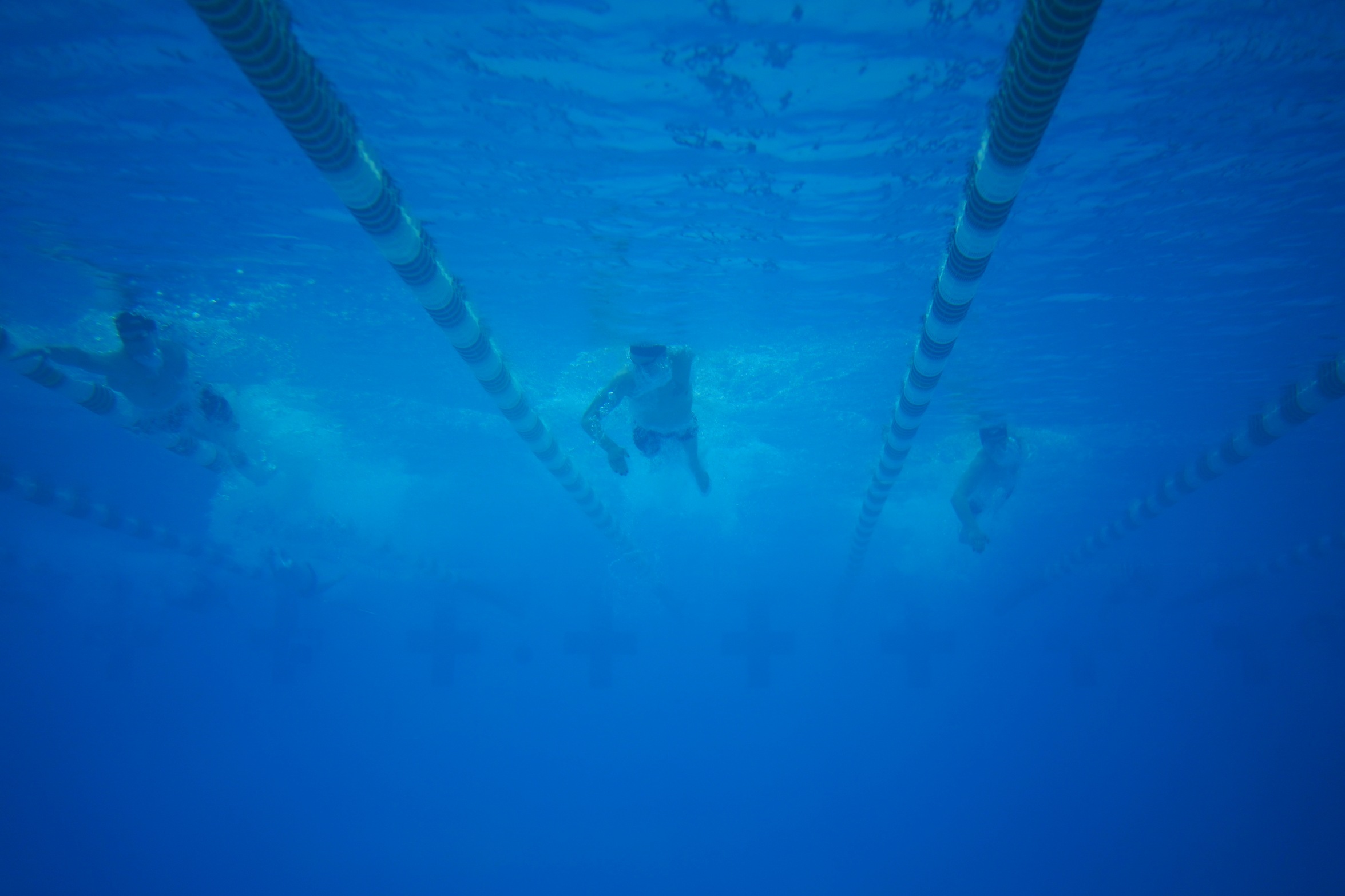 Cleveland State Swimming & Diving Receives Horizon League Preseason Rankings