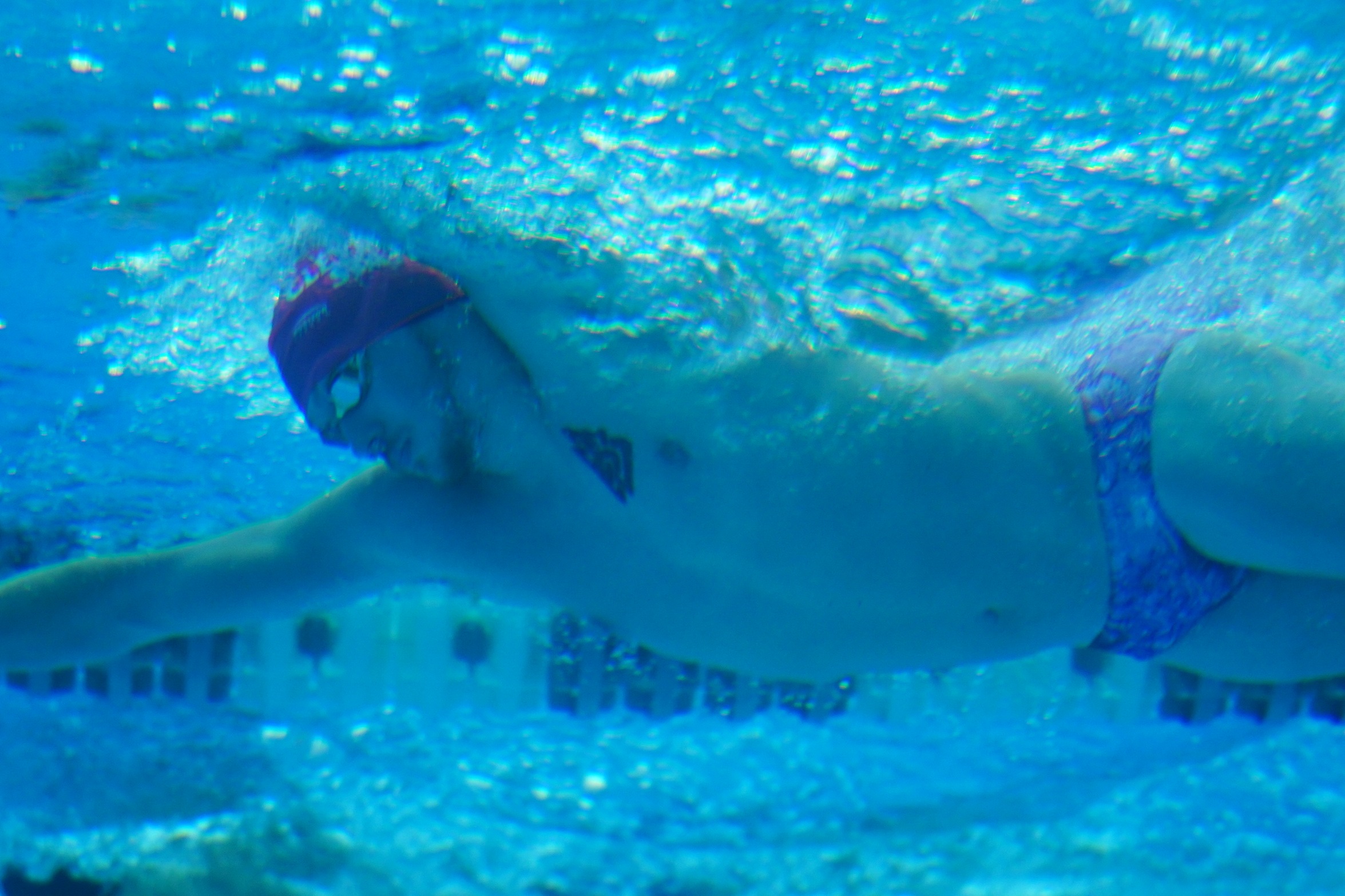Cleveland State Men's Swimming & Diving Splits Season Opening Dual