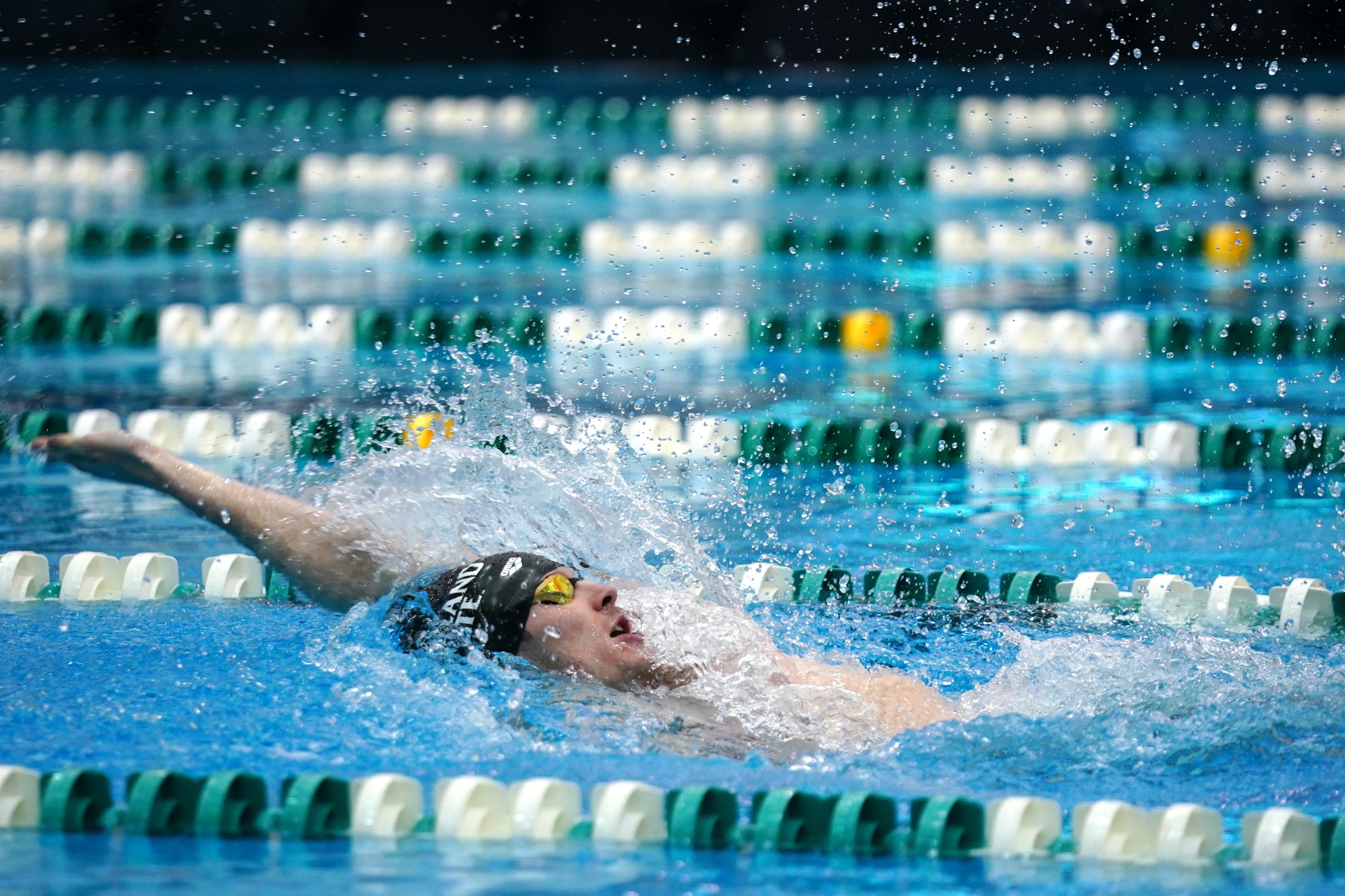 Cleveland State Swimming & Diving Set for Horizon League Championships