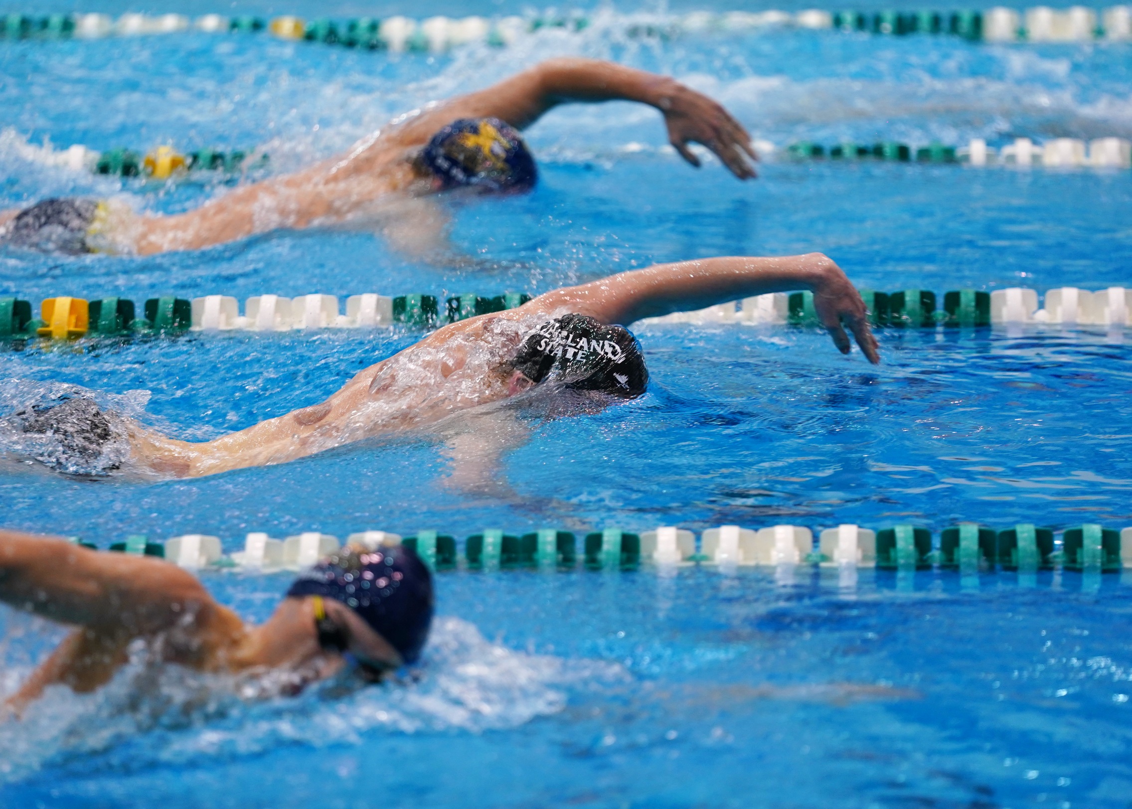 Cleveland State Men's Swimming & Diving Hosts Oakland for Senior Day