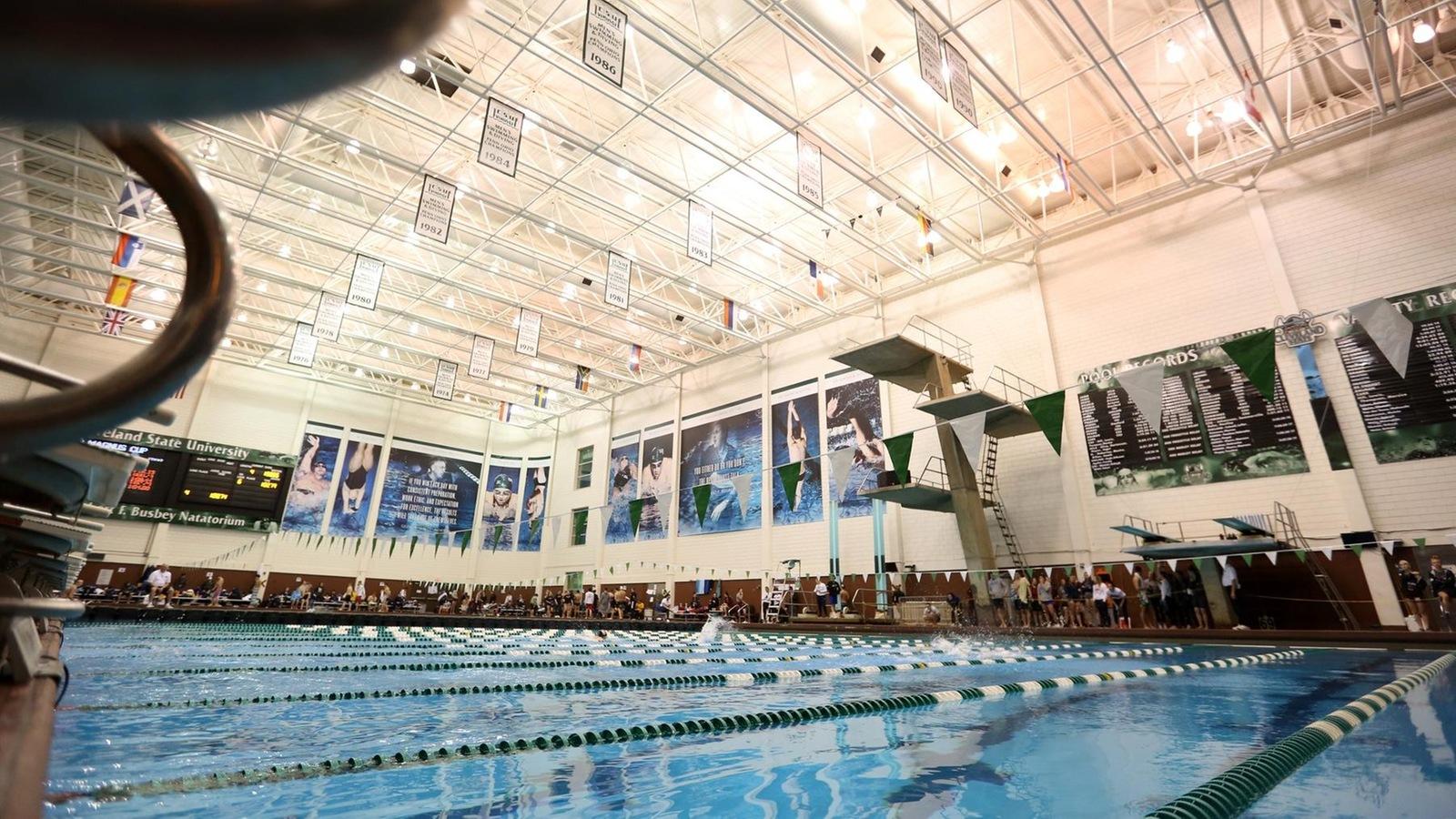 Vikings Welcome 17 New Swimmers and Divers for 2021-22 Season