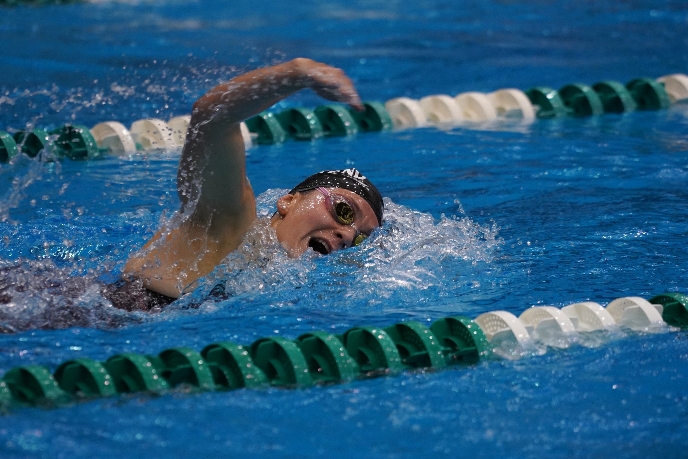 Cleveland State Women's Swimming & Diving Falls in Double Dual