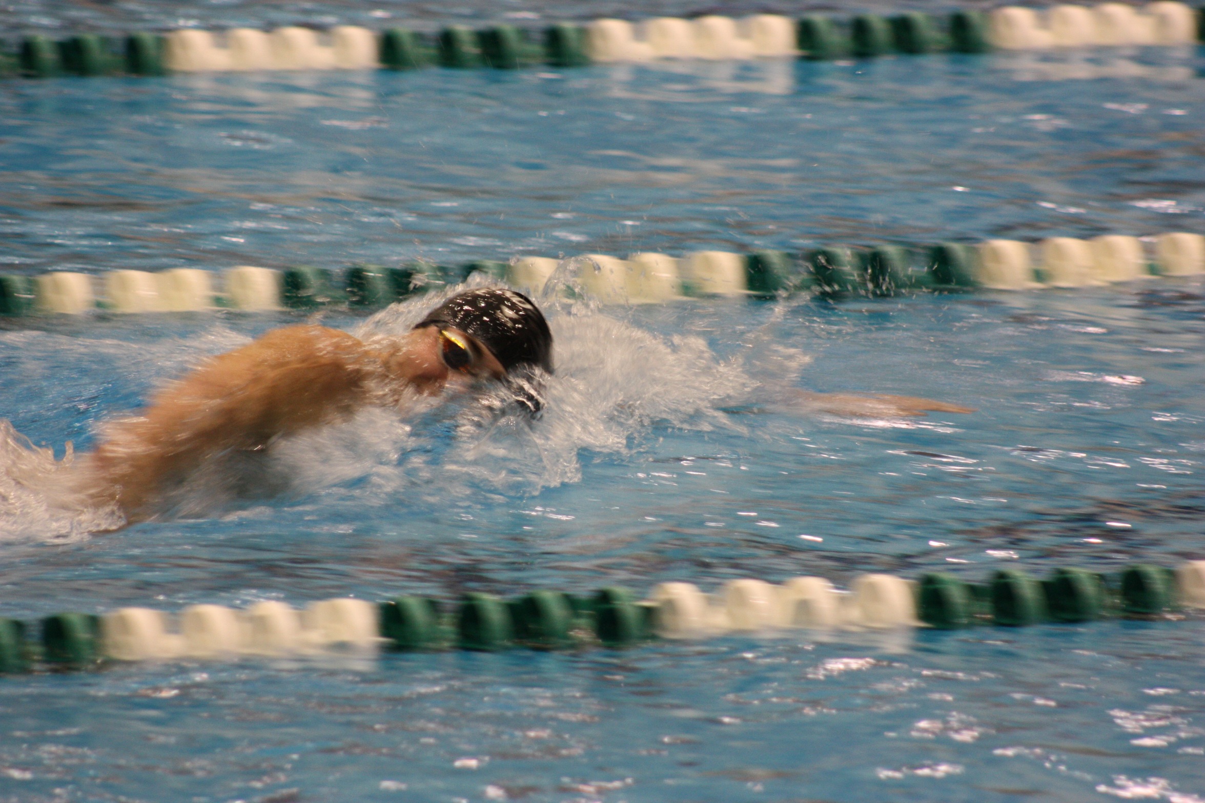 Cleveland State Men's Swimming & Diving Drops Dual to Kenyon