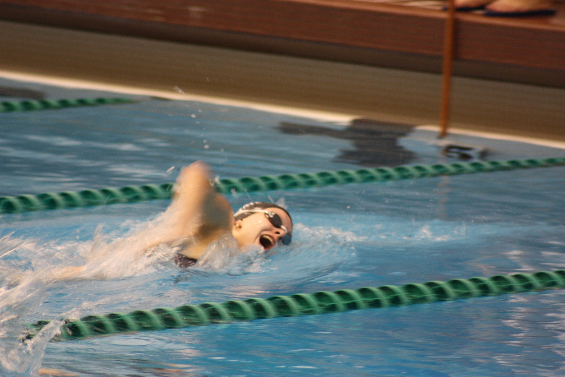Cleveland State Women's Swimming & Diving Defeats Oberlin, Falls to Findlay