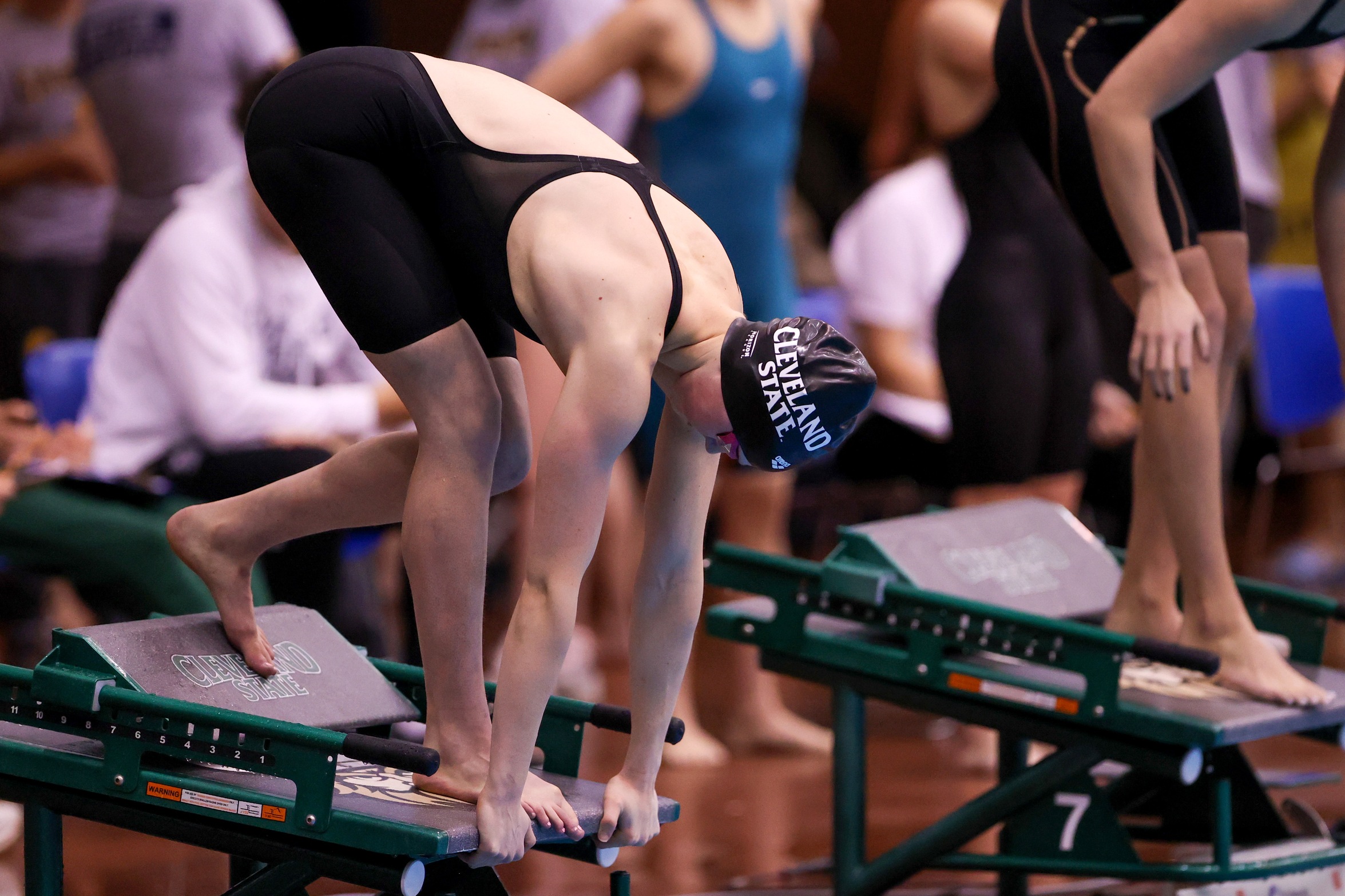 Cleveland State Women's Swimming & Diving in Tenth After Day Two of Magnus Cup