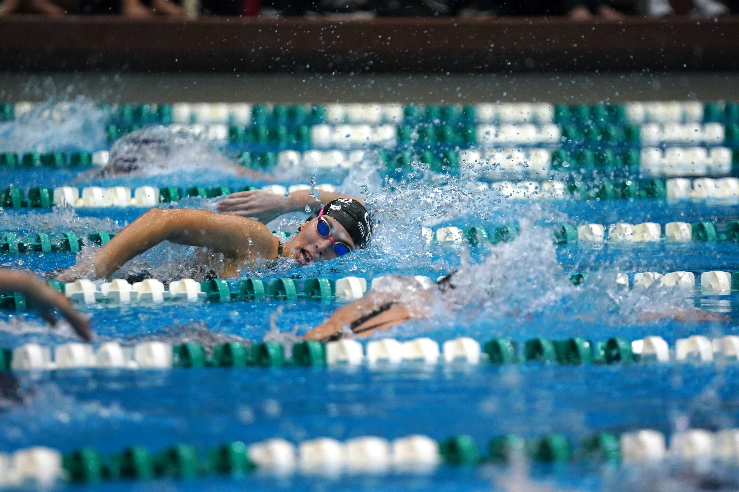 Cleveland State Women's Swimming Claims Two HL All-Academic Honors