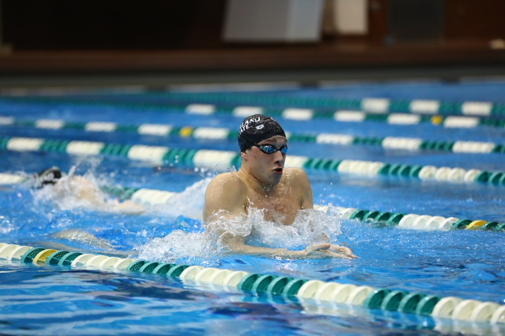 Cleveland State Men's Swimming & Diving Upends Canisius at Home