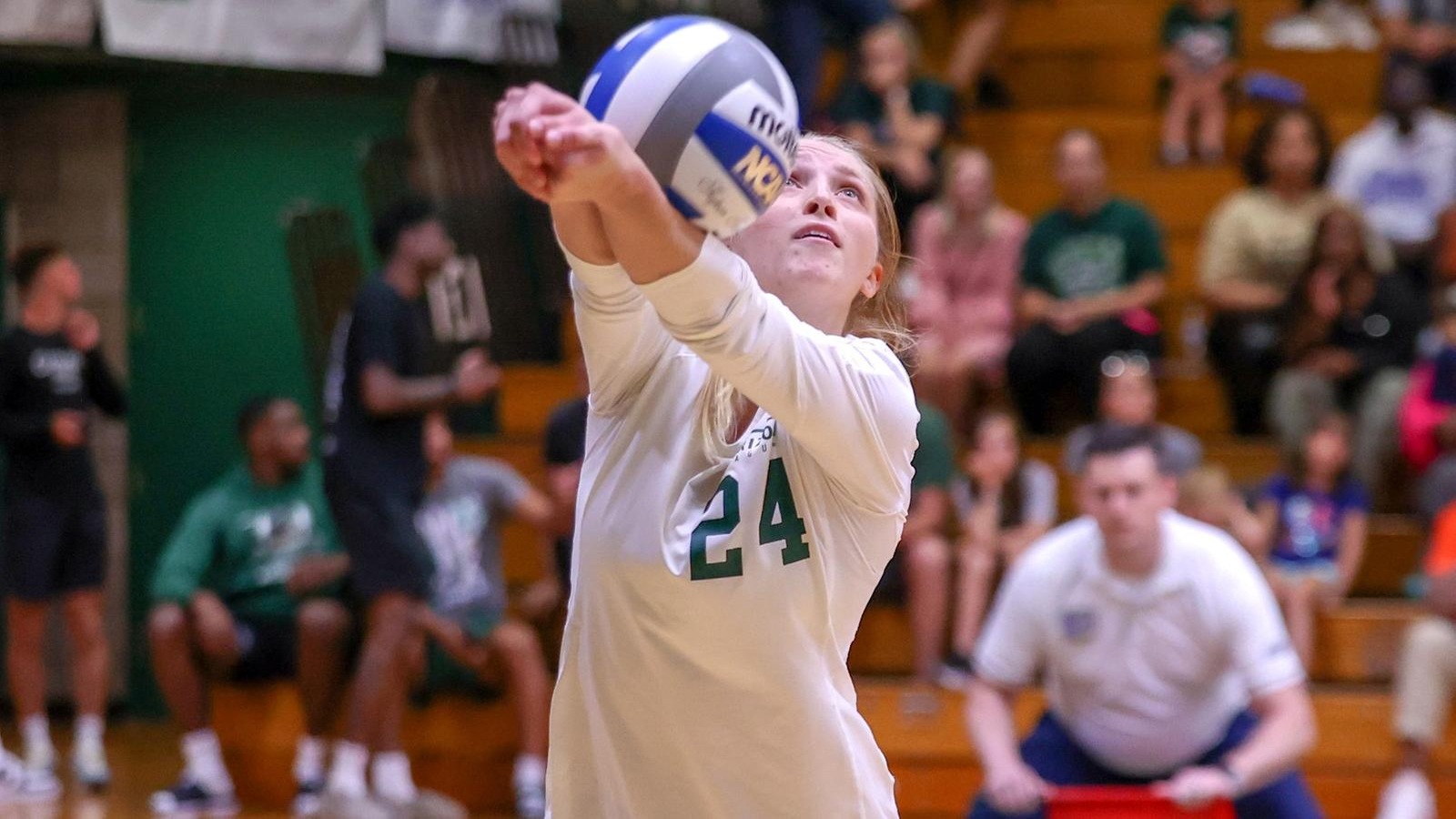 Cleveland State Volleyball Falls At Kent State