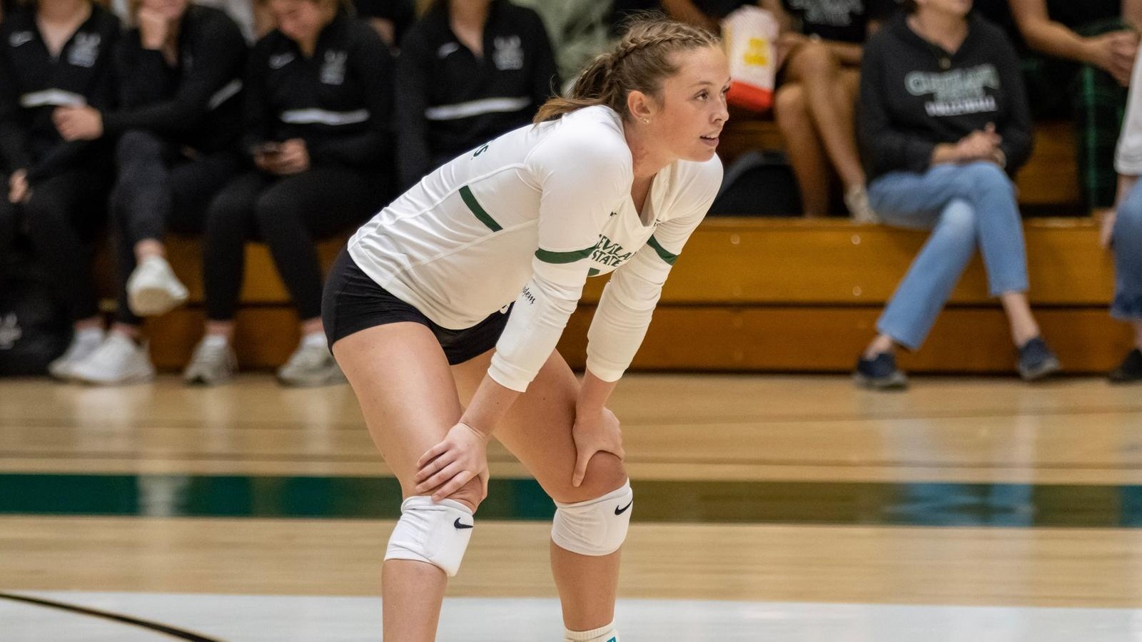Cleveland State Volleyball Returns Home To Host Green Bay & Milwaukee